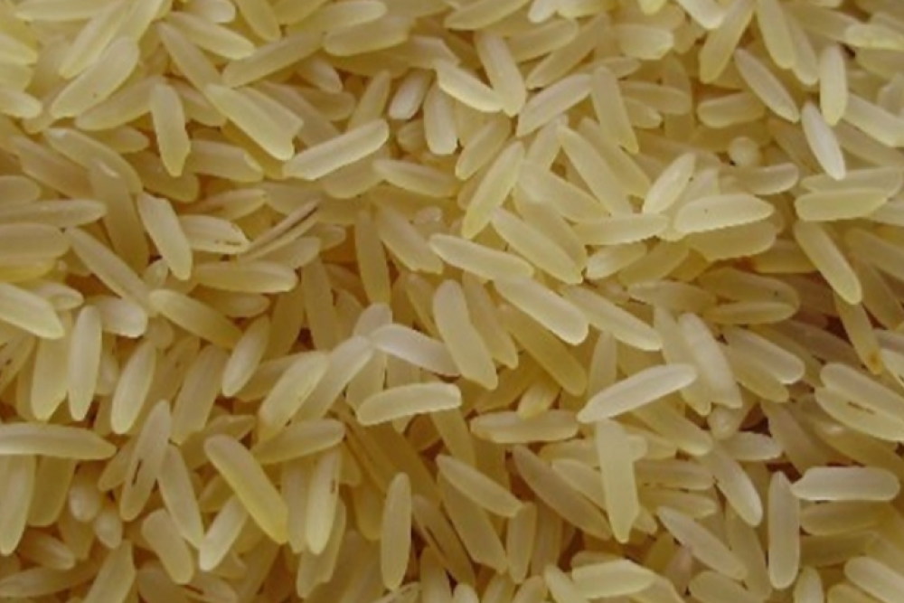 boiled rice